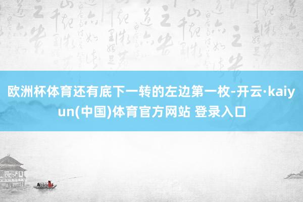 欧洲杯体育还有底下一转的左边第一枚-开云·kaiyun(中国)体育官方网站 登录入口