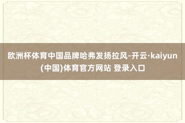 欧洲杯体育中国品牌哈弗发扬拉风-开云·kaiyun(中国)体育官方网站 登录入口