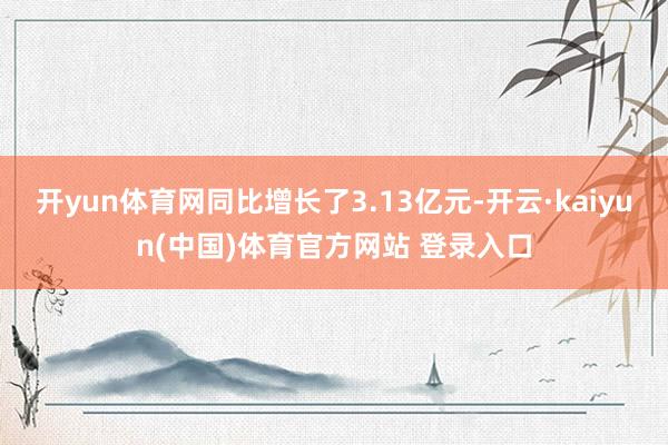 开yun体育网同比增长了3.13亿元-开云·kaiyun(中国)体育官方网站 登录入口