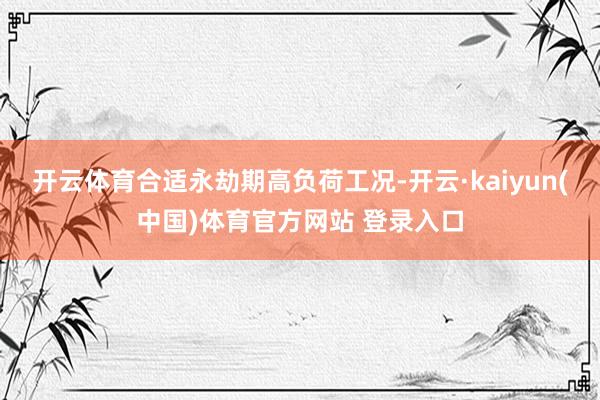 开云体育合适永劫期高负荷工况-开云·kaiyun(中国)体育官方网站 登录入口