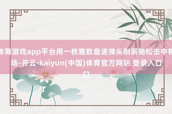 体育游戏app平台用一枚雅致音速弹头削弱驰松击中机场-开云·kaiyun(中国)体育官方网站 登录入口