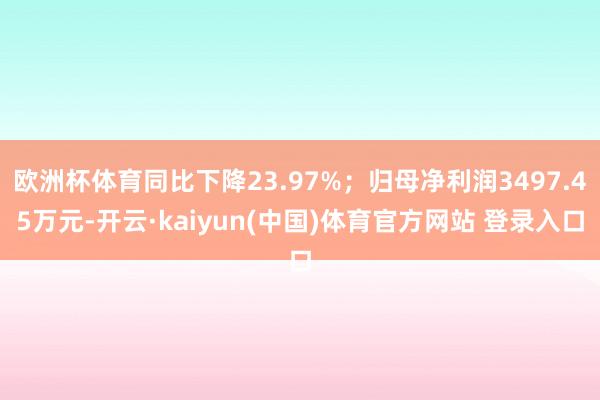 欧洲杯体育同比下降23.97%；归母净利润3497.45万元-开云·kaiyun(中国)体育官方网站 登录入口