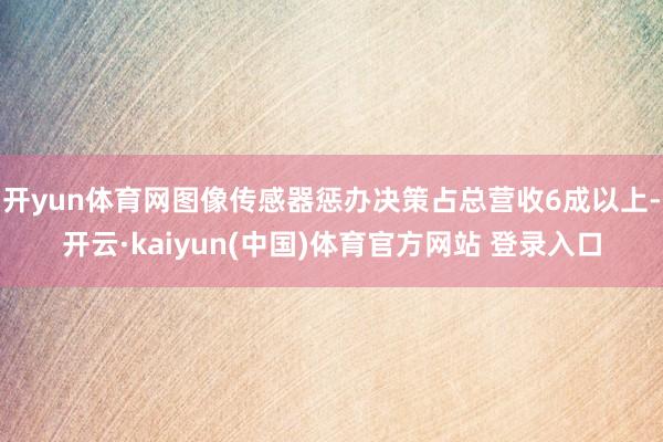 开yun体育网图像传感器惩办决策占总营收6成以上-开云·kaiyun(中国)体育官方网站 登录入口