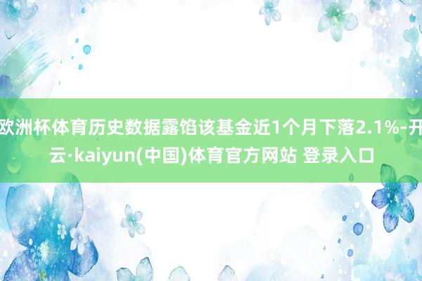 欧洲杯体育历史数据露馅该基金近1个月下落2.1%-开云·kaiyun(中国)体育官方网站 登录入口