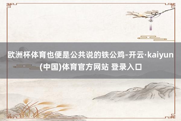 欧洲杯体育也便是公共说的铁公鸡-开云·kaiyun(中国)体育官方网站 登录入口