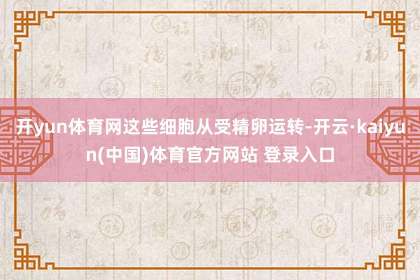 开yun体育网这些细胞从受精卵运转-开云·kaiyun(中国)体育官方网站 登录入口