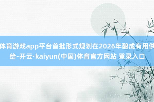 体育游戏app平台首批形式规划在2026年酿成有用供给-开云·kaiyun(中国)体育官方网站 登录入口