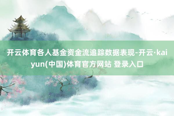 开云体育　　各人基金资金流追踪数据表现-开云·kaiyun(中国)体育官方网站 登录入口