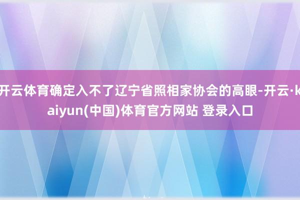 开云体育确定入不了辽宁省照相家协会的高眼-开云·kaiyun(中国)体育官方网站 登录入口
