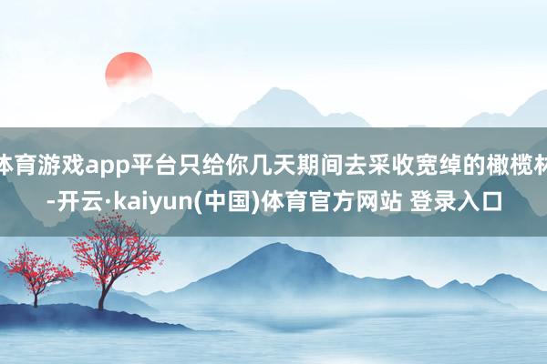 体育游戏app平台只给你几天期间去采收宽绰的橄榄林-开云·kaiyun(中国)体育官方网站 登录入口