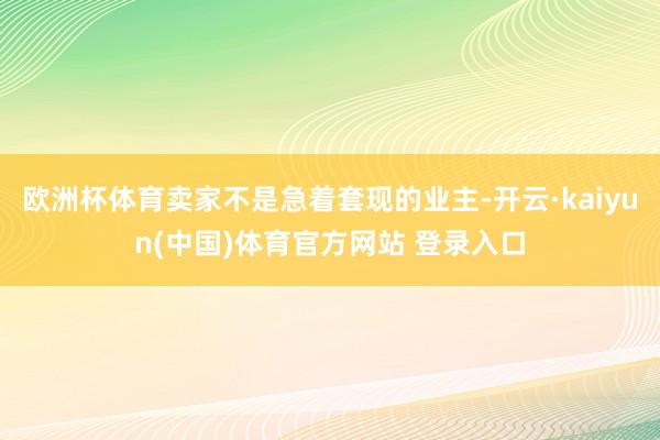 欧洲杯体育卖家不是急着套现的业主-开云·kaiyun(中国)体育官方网站 登录入口
