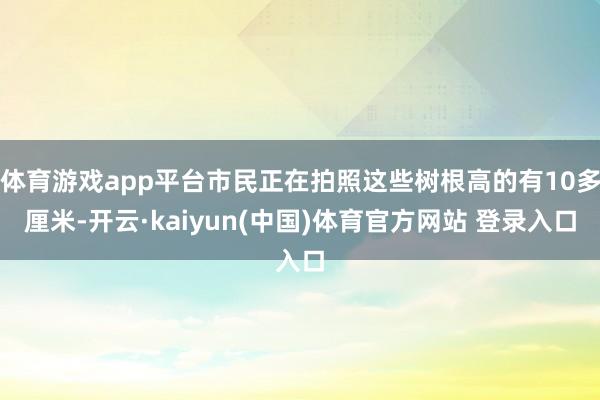 体育游戏app平台市民正在拍照这些树根高的有10多厘米-开云·kaiyun(中国)体育官方网站 登录入口